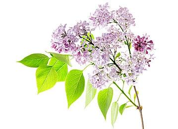 505 Games媒体发布会官宣首款中国游戏《实况！救援大作战》与多款新作内容